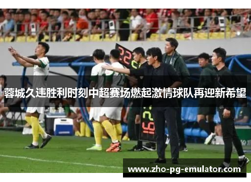 蓉城久违胜利时刻中超赛场燃起激情球队再迎新希望