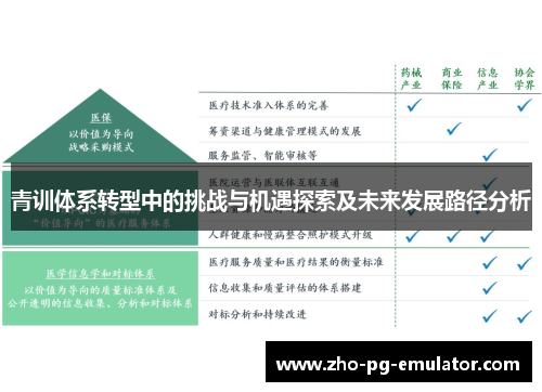 青训体系转型中的挑战与机遇探索及未来发展路径分析