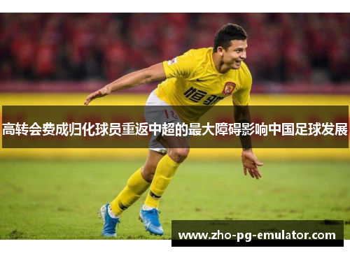 高转会费成归化球员重返中超的最大障碍影响中国足球发展
